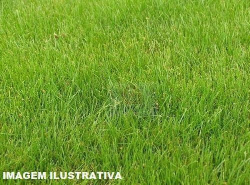 Imagem 1 de 1 de Terreno Com Ótima Localização