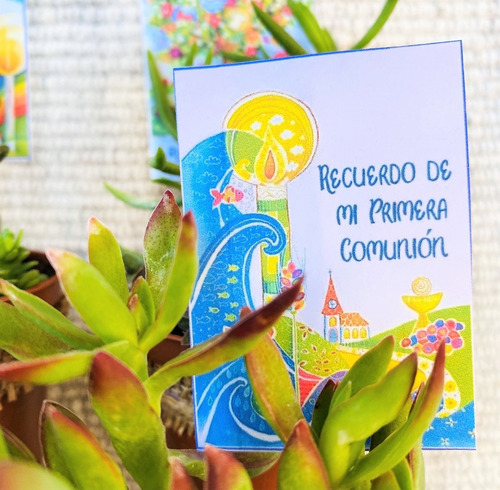Recuerdos Cactus Y Sucus, Toda Ocasión, Valor Cada Unidad