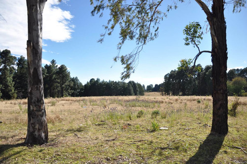 Imagen 5 de 12 de Amplio Rancho: Privado, Verde Y Fértil