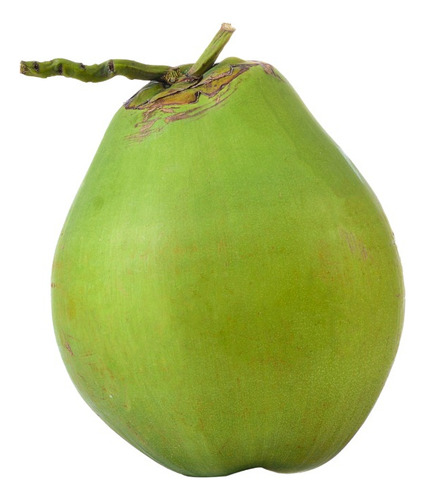 Agua De Coco Verde 200ml Nosso Coco Brasileira