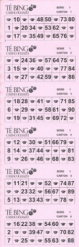 9000 Cartones De Bingo / Lotería Personalizados Envio Gratis