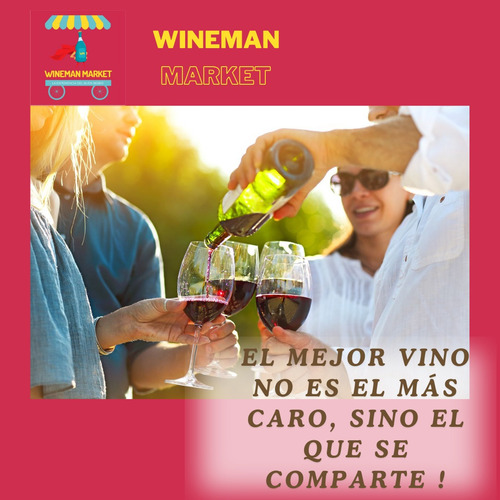 Vino Tinto Pack 6 Botellas Chateau Domecq Cabernet Sauvignon