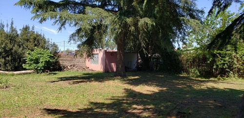 Imagen 7 de 21 de Quinta En Venta En Nueve De Julio