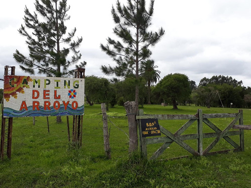 Imagen 4 de 14 de Campo En Venta (camping Del Arroyo ) - Colon