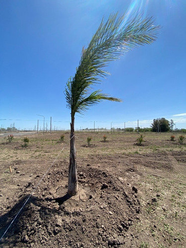 Vendo Lote En Ecovida Villa Amelia Sobre Ruta 18 - Posesion En Mayo 2021