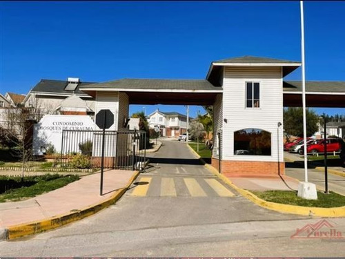 Bosques De Curauma - Valparaiso - Curauma
