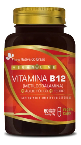 Ferro A Fólico B12 Metilcobalamina Vegano + Vit C Zinco D3 Sabor Sem Sabor
