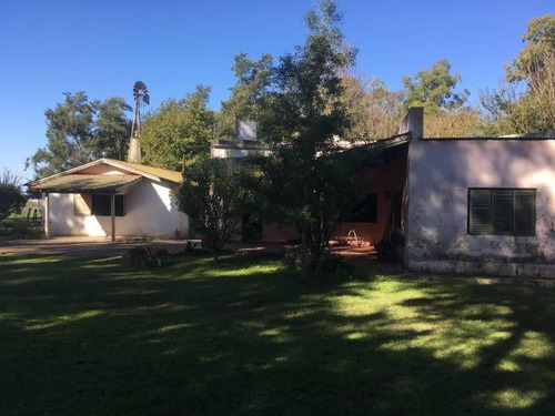Imagen 12 de 22 de Campo En Venta En Arditti | Ruta 11-km 57
