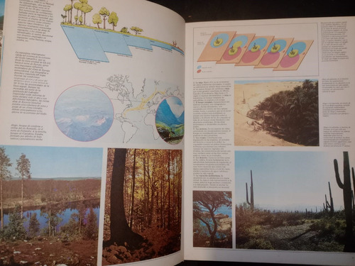 Libro Geografía Y Atlas De Argentina Y El Mundo Oriente