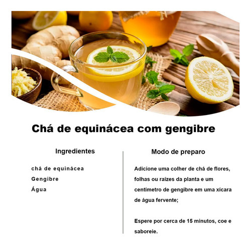 Kit 2 Pct Chá De Equinácea - Echinacea Purpurea L. - 100g