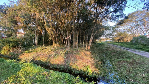 Imagem 2 de 6 de Terreno De Esquina No Balneário Gaivota, Em Itanhaém, Com 290 M² De Área Total