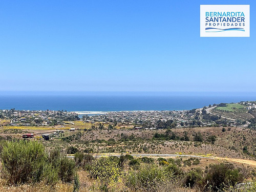 Sitio En Laguna Alto