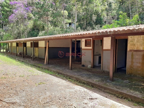 Imagem 21 de 23 de Propriedade Com 72 Mil M² De Área Total Em Andradas. - St00187 - 69390032