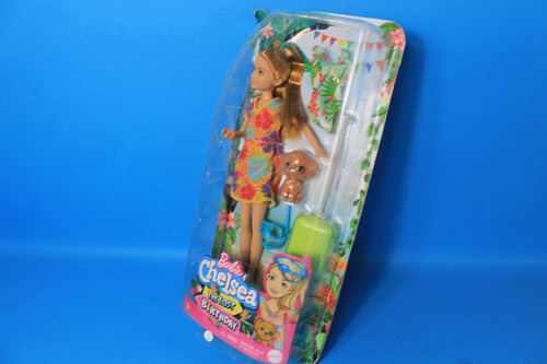 Barbie Chelsea The Lost Birthday (Usado)