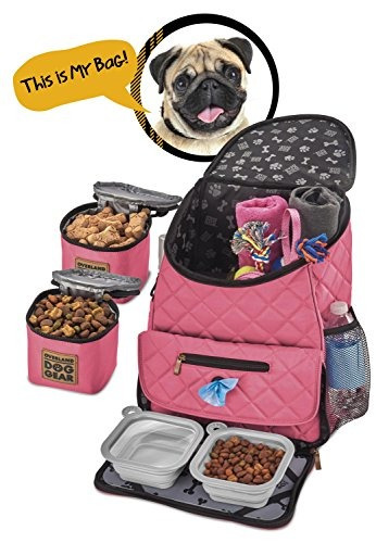 Bolsa De Viaje Para Perro Lujo Mochila Semanal Incluye