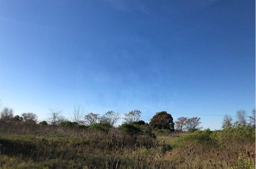 Imagen 2 de 4 de Terreno Agrícola Parque Industrial De Pilar Todo Utilizable