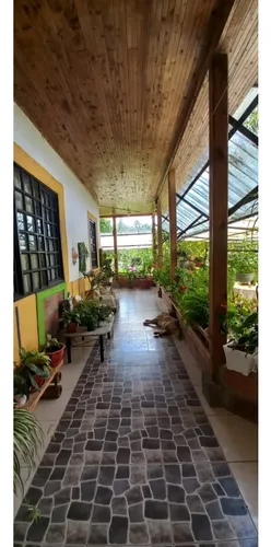 Se Vende Finca Circasia Quindío