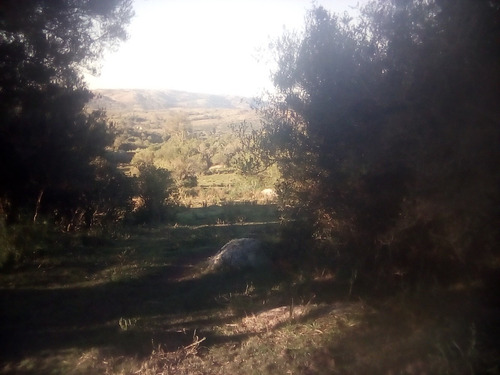 Campo 14.5 Hs Casa 2 Dormitorios , Luz Eléctrica, Cañada