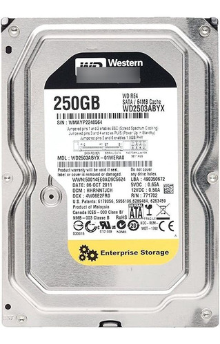 250 Gb  Rpm 64 Mb De Caché Sata 3 Gb/s-re4 - Wd2