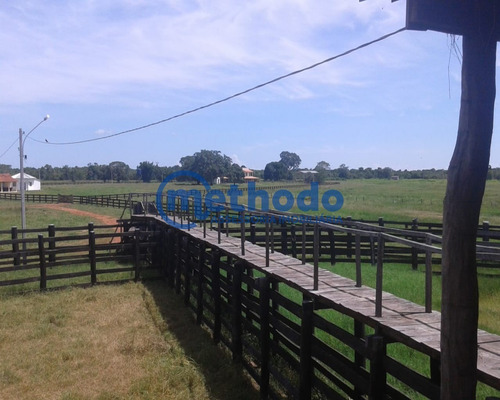 Fazenda - Fa00006 - 68495881