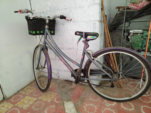 Bicicleta Vintage Amsterdam Alu 6v R700