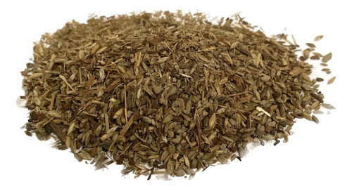 Capim Colonião Mombasa/Panicum Maximum - 20 kg de semillas