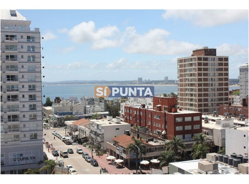 Imagen 23 de 30 de Apartamento En Alquiler Anual Zona De Península !!!