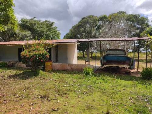Se Vende Finca En Aribi, Via Al Sur De Monagas Ve02-554vs-dced