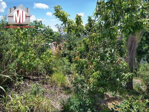 Belíssima Chácara Com 04 Dormitórios, Piscina, Internet À Cabo, Pomar, Próxima Da Cidade, À Venda, 1000 M² Por R$ 410.000 - Pinhalzinho/sp - Ch0806