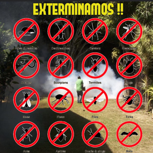 Imagen 6 de 10 de Fumigación Profesional Control De Plagas Exterminio Abejas