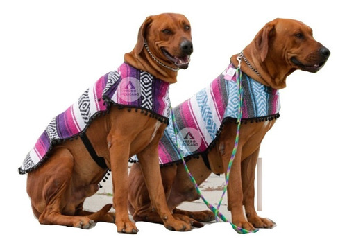 Jorongo Perro Mexicano Poncho Artesanal Sarape Talla 7