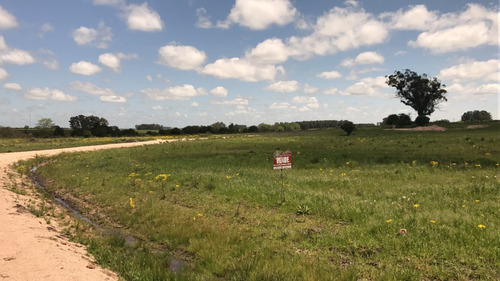 Venta Terreno En Trinidad Flores 10000 M2 Zona La Aviación