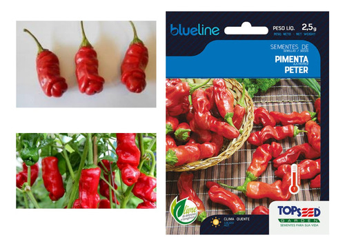 Pimenta Peter - 2.5gr De Sementes