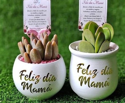 Imagen 2 de 9 de Suculentas, Regalo Por El Día De La Madre, En Cerámica-vinil