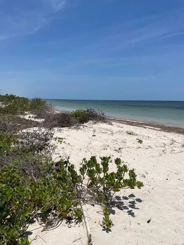 Casa En Venta En La Playa De San Crisanto,yucatán