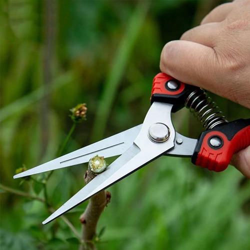 Tijeras De Jardinería Profesionales Para Macetas