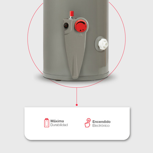 Calentador de agua Rheem de depósito 76 litros a gas LP 2 servicios color gris