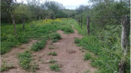 Venta Campo 3200 Hectareas Santiago Del Estero