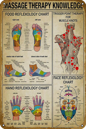 Knioil Masajista Conocimiento Cara Pie Y Mano Reflexología.