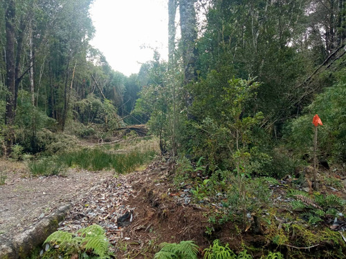 Parcela En Puerto Varas, Camino A Ensenada (97186)