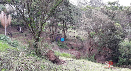 Terreno À Venda, 15631 M² Por R$ 6.500.000,00 - Vista Alegre - Vinhedo/sp - Te0155