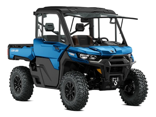 Imagen 16 de 16 de Canam Defender Hd10 Limited Envío Gratis 2023 No Ranger