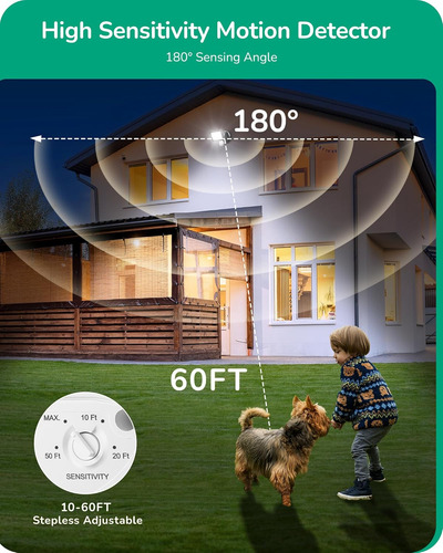 Sensor De Movimiento Edishine, Detector De Movimiento De Rep