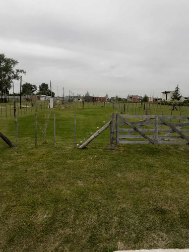 Imagen 1 de 3 de Lote En Venta Domselar Chico