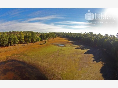 Imagen 8 de 12 de Terreno En Venta Bosques De Llano Grande