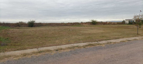Imagen 4 de 5 de Lote En La Pampeana De 800mts