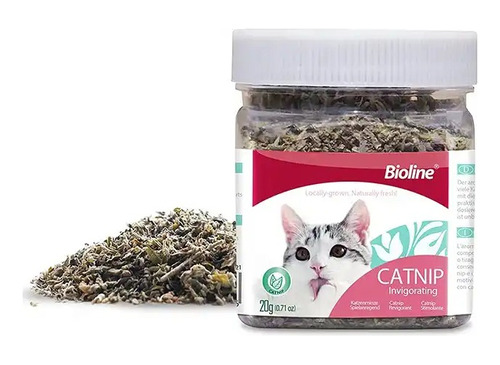 Juguete Gato Hierba Catnip Hoja Gatera Frasco