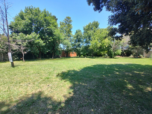 3 Lotes En Block, 1.700m2 En Total. Florencio Varela.