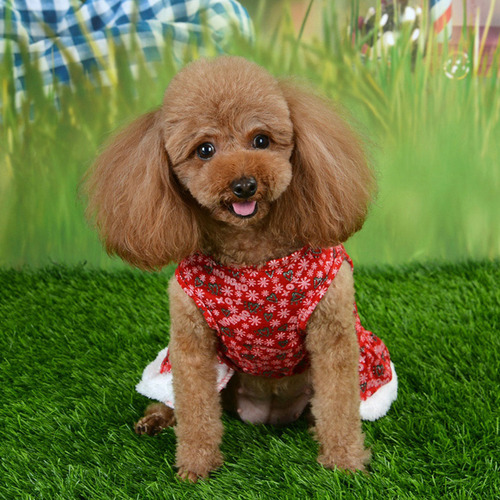 Ropa De Invierno Para Perros, Bonita Falda Roja De Navidad P