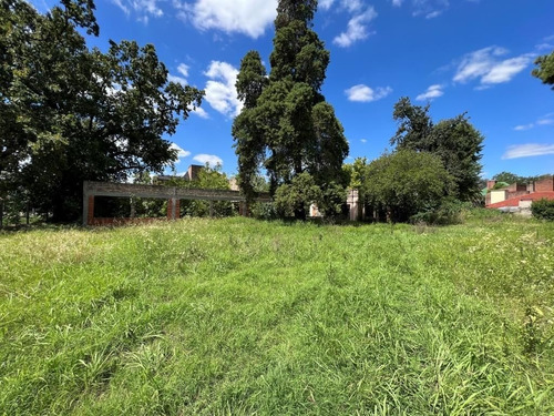 Imagen 5 de 7 de Terreno En Venta En San Miguel